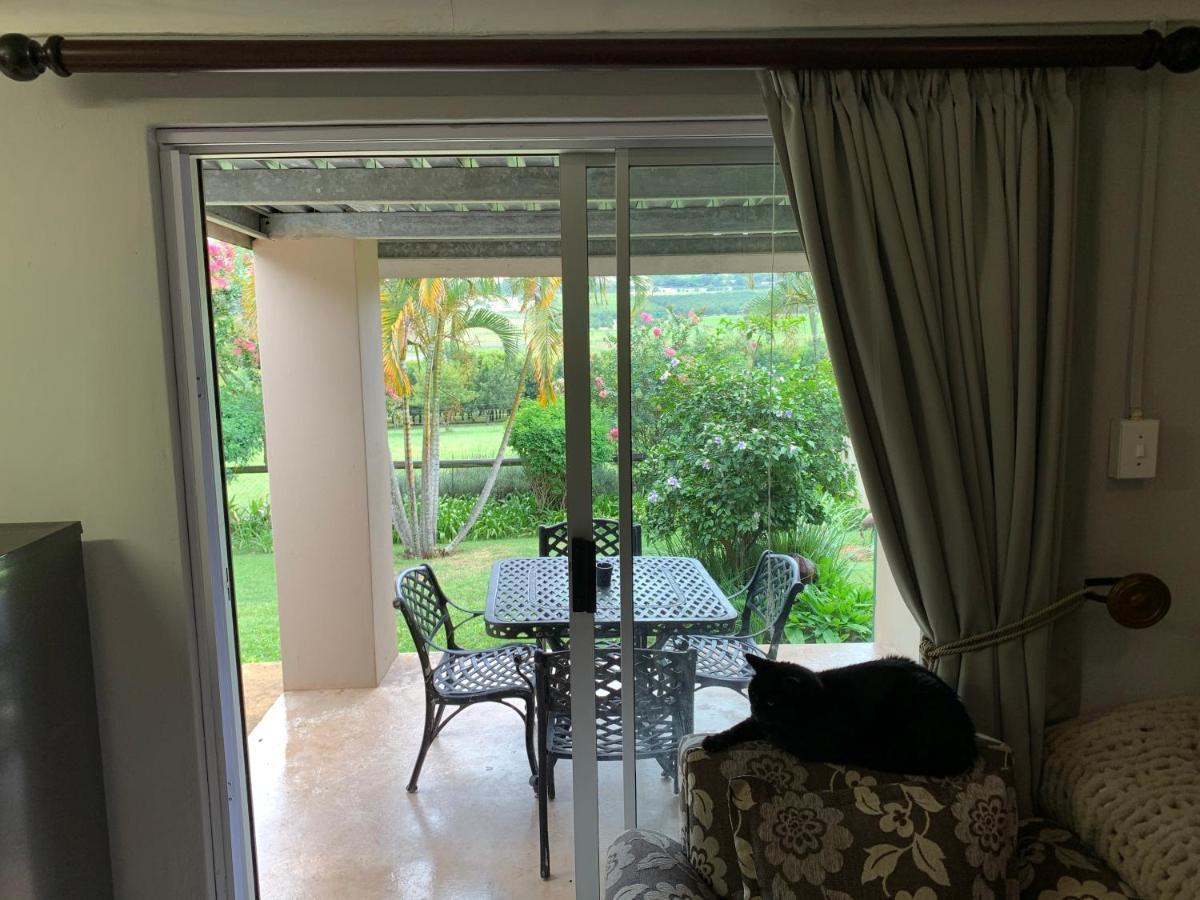 Jelani Guest House White River Luaran gambar
